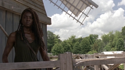 twd1003_0155.jpg
