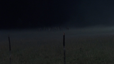 twd1003_0641.jpg