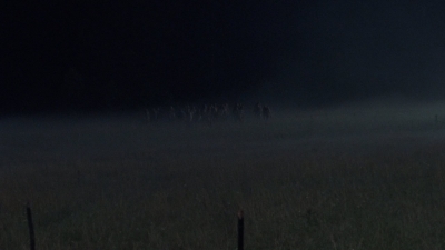 twd1003_0643.jpg
