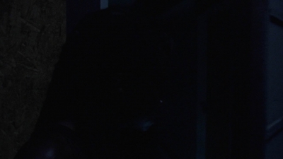 twd1003_1213.jpg