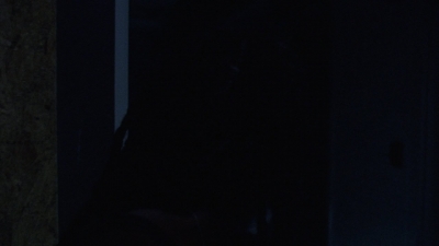 twd1003_1214.jpg