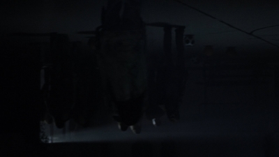 twd1003_1827.jpg