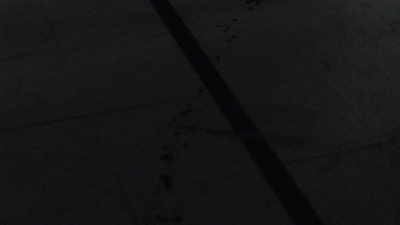 twd1003_2484.jpg