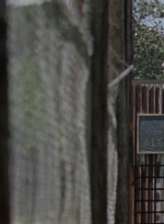 twd1003_0028.jpg