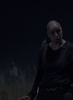 twd1003_0762.jpg
