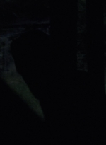 twd1003_1334.jpg