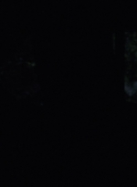 twd1003_1335.jpg
