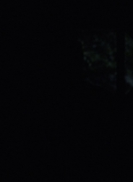 twd1003_1337.jpg
