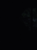 twd1003_1339.jpg