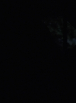 twd1003_1340.jpg