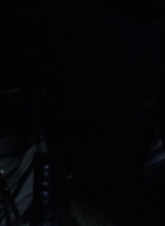 twd1003_1592.jpg