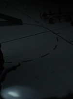 twd1003_1786.jpg