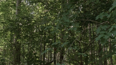 twd1004_0898.jpg