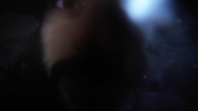 twd1004_1174.jpg