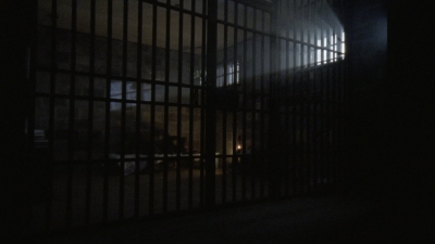 twd1004_1419.jpg