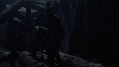 twd1004_1515.jpg