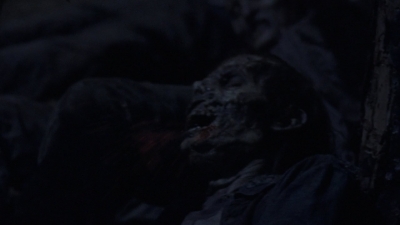 twd1004_1519.jpg