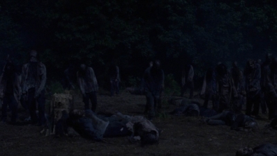 twd1004_1537.jpg