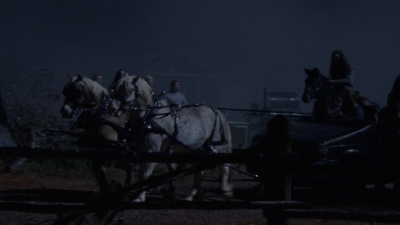 twd1004_1568.jpg