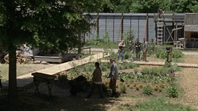 twd1004_2060.jpg