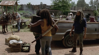 twd1004_2224.jpg