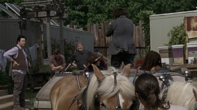 twd1004_2250.jpg