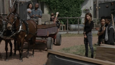 twd1004_2268.jpg