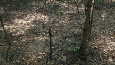 twd1005_0571.jpg
