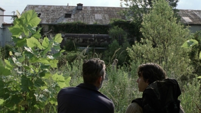 twd1005_0731.jpg