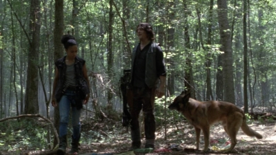 twd1005_0870.jpg