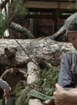 twd1005_0261.jpg