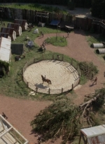 twd1005_0351.jpg
