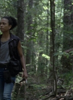 twd1005_0805.jpg
