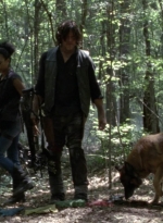 twd1005_0869.jpg