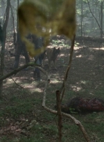 twd1005_0874.jpg