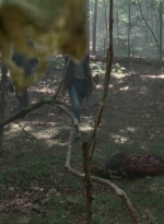 twd1005_0875.jpg