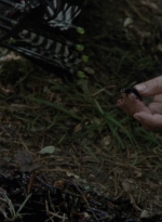 twd1005_0883.jpg