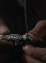 twd1005_0972.jpg