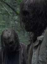 twd1005_1379.jpg