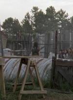 twd1005_1945.jpg