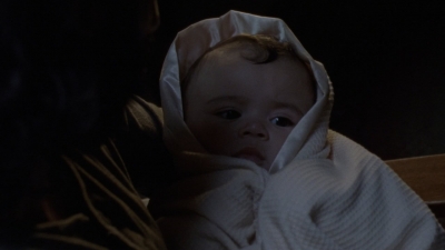 twd1006_1981.jpg