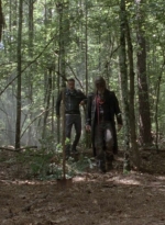twd1006_1292.jpg