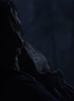 twd1006_1797.jpg