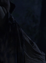 twd1006_1798.jpg