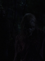 twd1006_1815.jpg