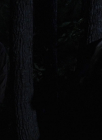 twd1006_1817.jpg