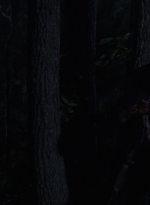 twd1006_1819.jpg