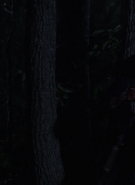 twd1006_1820.jpg