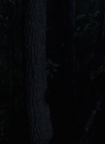 twd1006_1822.jpg