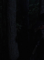 twd1006_1823.jpg